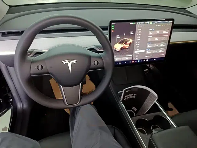 Tesla Model Y — Фото автомобиля 9