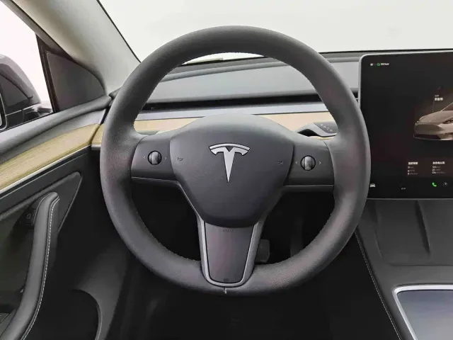 Tesla Model Y — Фото автомобиля 6