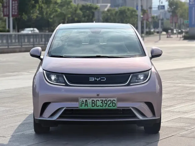 BYD Dolphin — Фото автомобиля 2