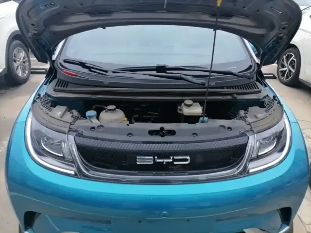 BYD Dolphin 2021 401km Knight Edition — Фото автомобиля 15