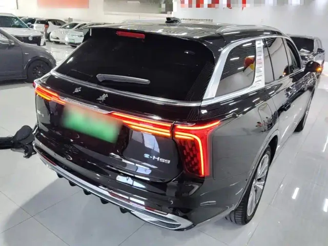 Hongqi E-HS9 — Фото автомобиля 6