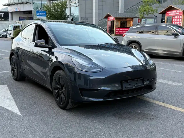Tesla Model Y — Фото автомобиля 3