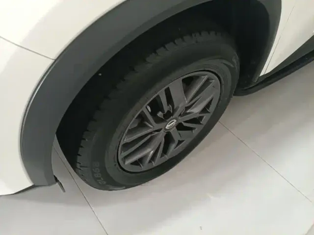 Nissan X-Trail — Фото автомобиля 24