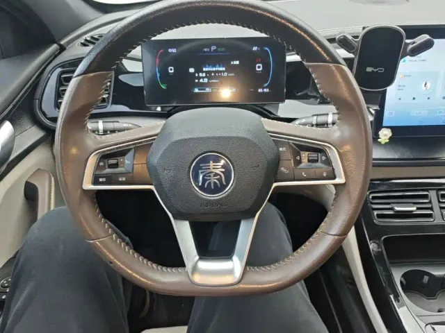 BYD Qin PLUS — Фото автомобиля 10
