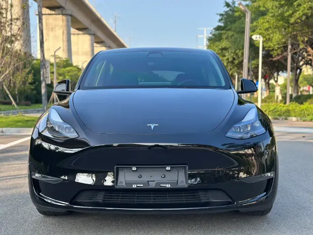 Tesla Model Y — Фото автомобиля 2
