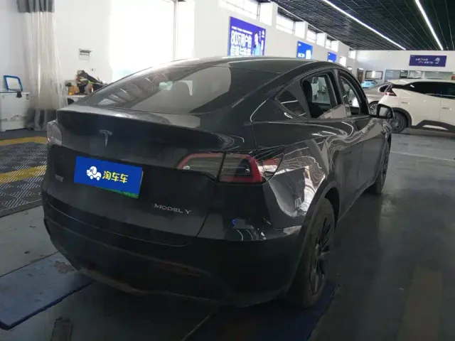 Tesla Model Y — Фото автомобиля 3