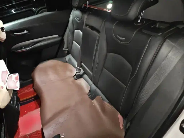 Cadillac Cadillac XT4 2021 28T FWD Luxury Edition — Фото автомобиля 14
