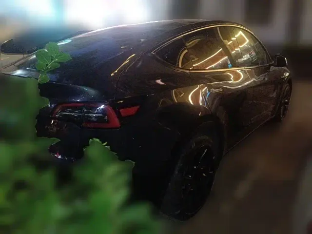 Tesla Model Y — Фото автомобиля 4