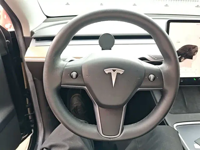 Tesla Model Y — Фото автомобиля 10