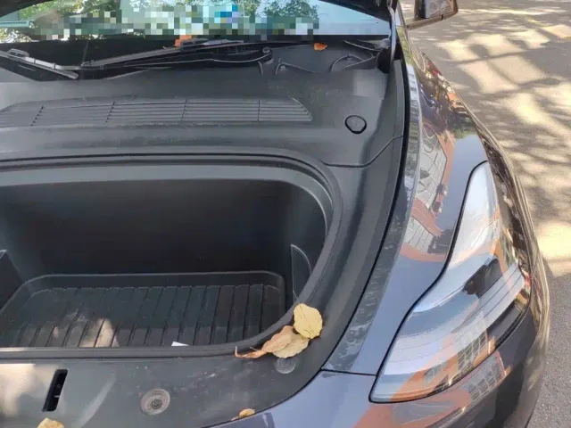 Tesla Model Y — Фото автомобиля 22