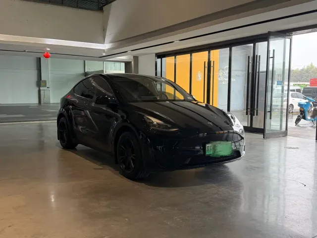 Tesla Model Y — Фото автомобиля 3