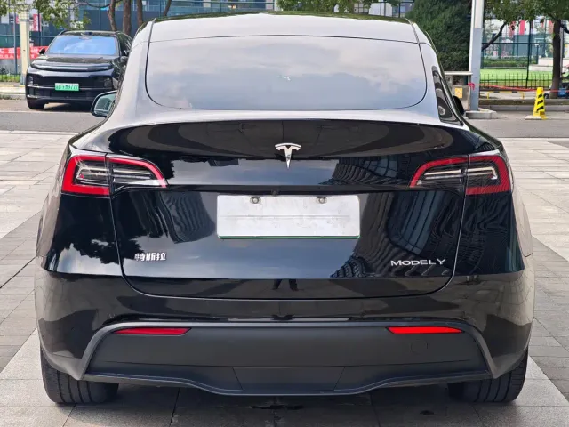 Tesla Model Y — Фото автомобиля 13