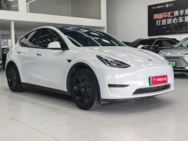 Tesla Model Y — Фото автомобиля 3