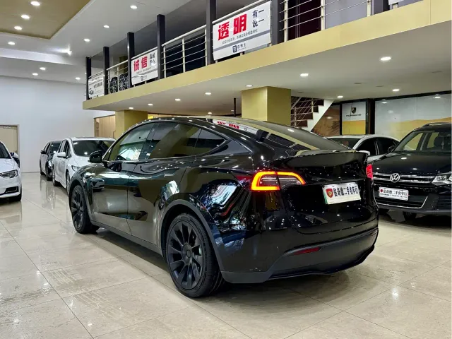 Tesla Model Y — Фото автомобиля 7