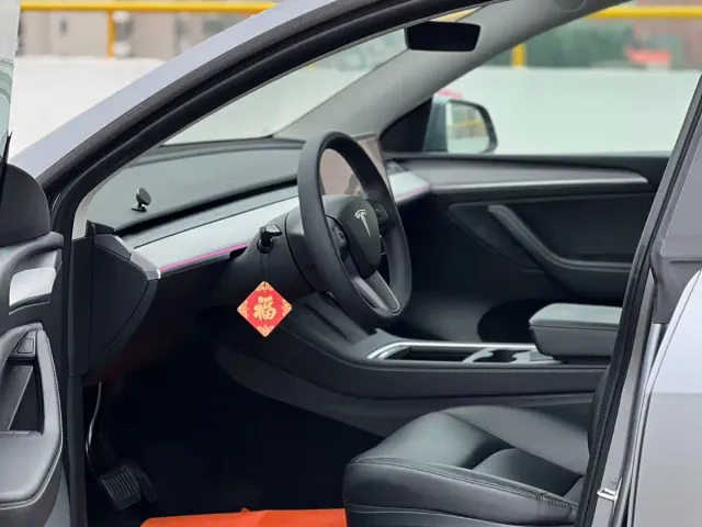Tesla Model Y — Фото автомобиля 7