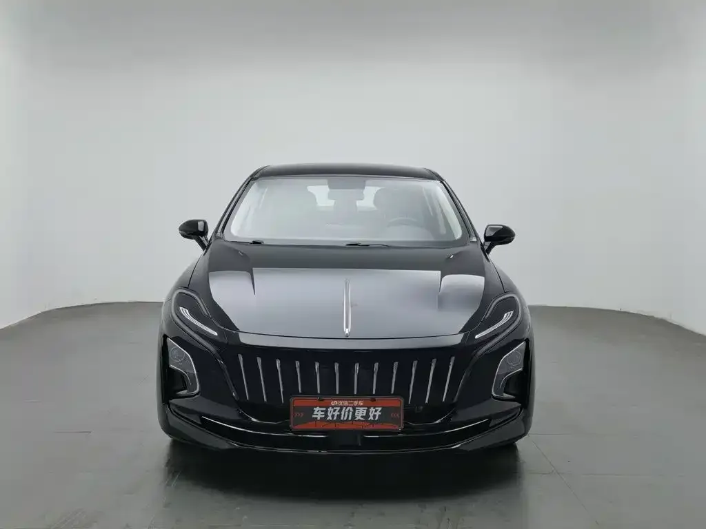 Hongqi Hongqi E-QM5 2022 431km Charging Enjoyment Edition — Фото автомобиля 3