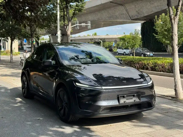 Tesla Model Y — Фото автомобиля 3