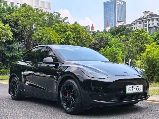 Tesla Model Y — Фото автомобиля 3