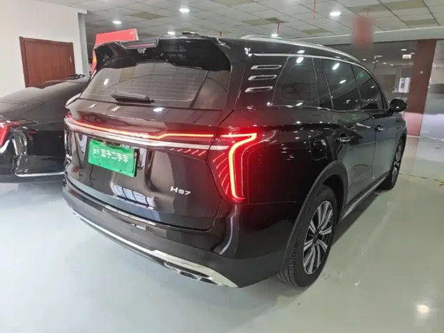 Hongqi HS7 PHEV — Фото автомобиля 6