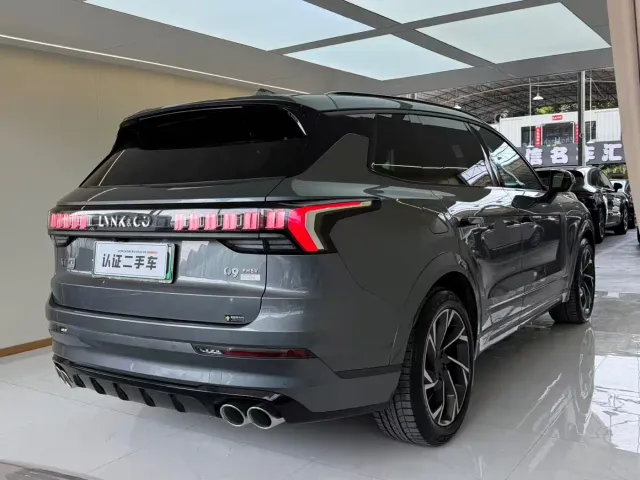 Lynk & Co Lynk & Co 09 EM-P 2021 2.0T PHEV Halo 6-seater — Фото автомобиля 14