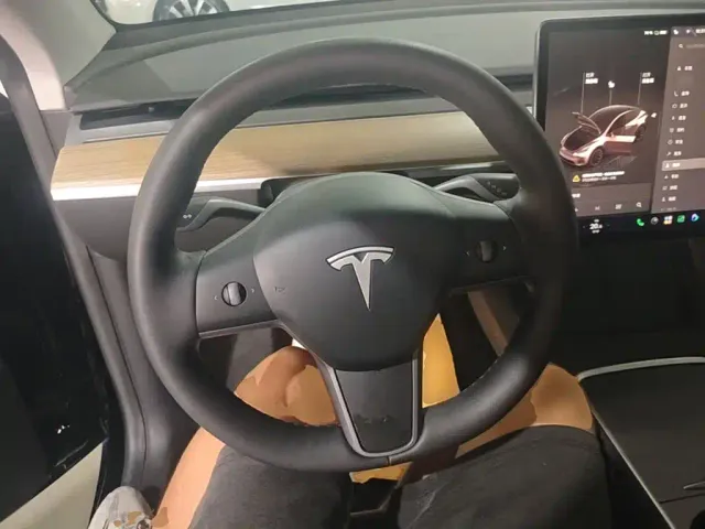 Tesla Model Y — Фото автомобиля 10
