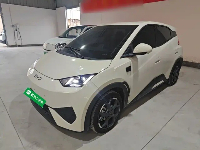 Фотография автомобиля — BYD Seagull