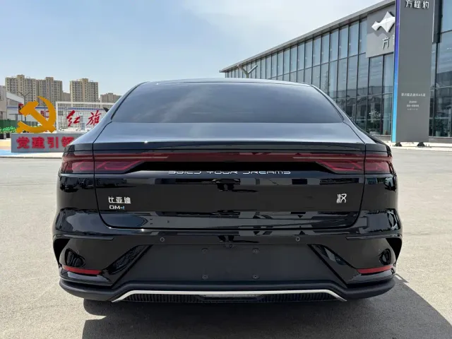 BYD Han — Фото автомобиля 8