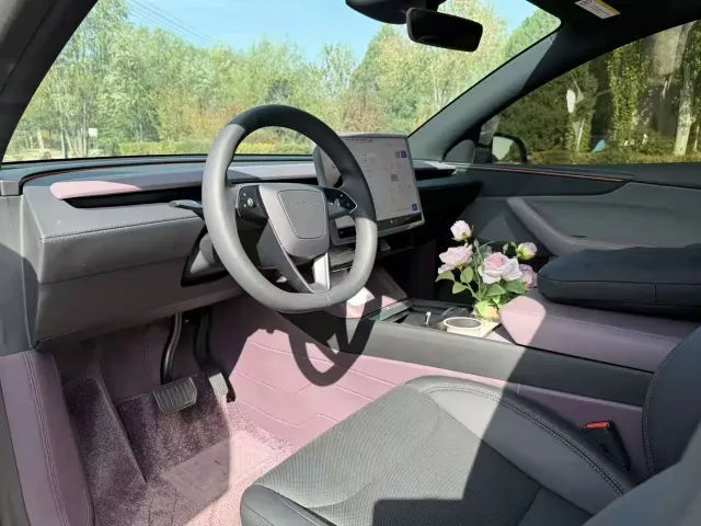 Tesla Model Y — Фото автомобиля 4