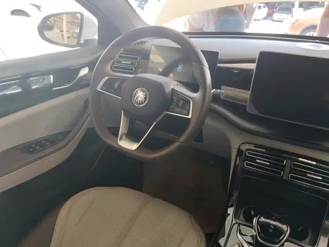 BYD Qin PLUS — Фото автомобиля 15