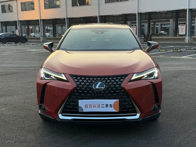 Lexus Lexus UX Electric 2020 300e Pure Yue Edition — Фото автомобиля 2