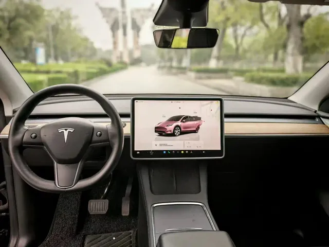 Tesla Model Y — Фото автомобиля 6