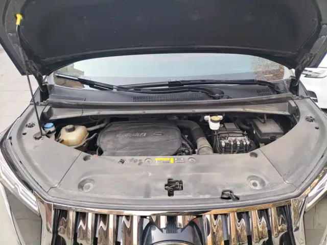 GAC Trumpchi M8 — Фото автомобиля 17