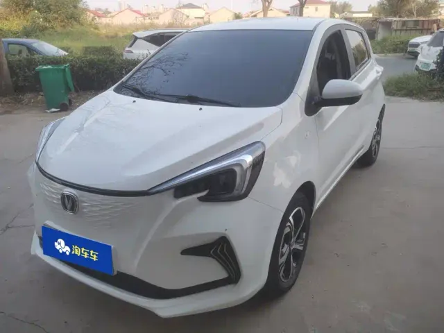 Фотография автомобиля — Changan Benben E-Star