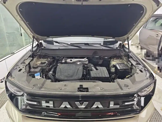 Haval Big Dog — Фото автомобиля 19