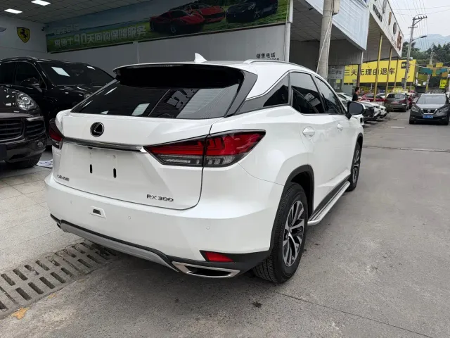 Lexus RX — Фото автомобиля 12
