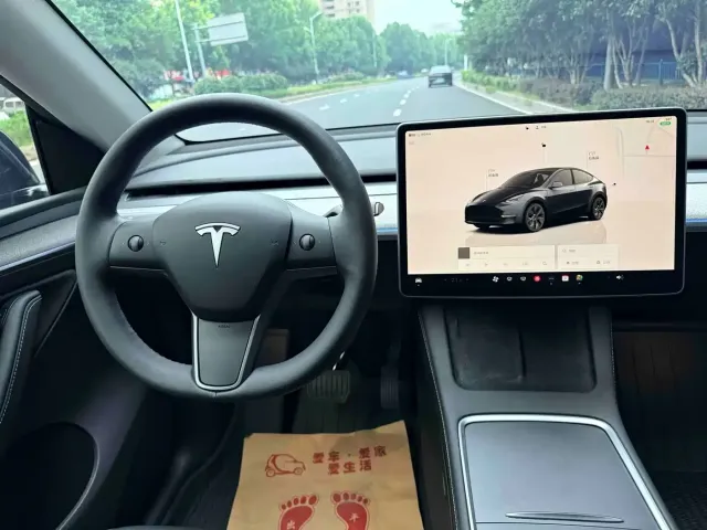 Tesla Model Y — Фото автомобиля 15