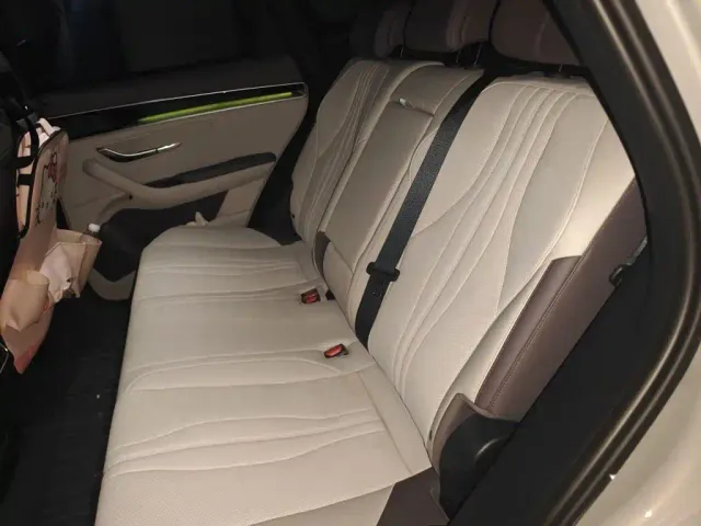 BYD Song PLUS — Фото автомобиля 13