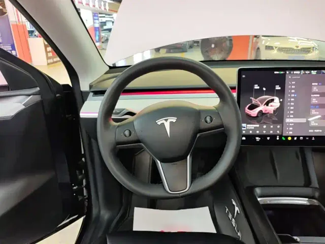 Tesla Model Y — Фото автомобиля 10