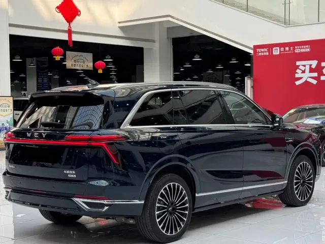 Wey Lanshan — Фото автомобиля 27
