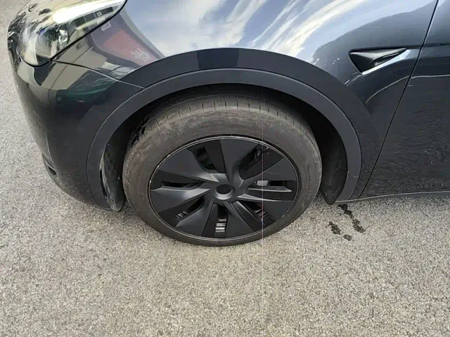 Tesla Model Y — Фото автомобиля 22