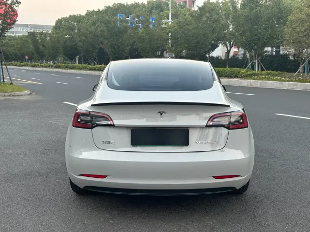 Tesla Model 3 — Фото автомобиля 4
