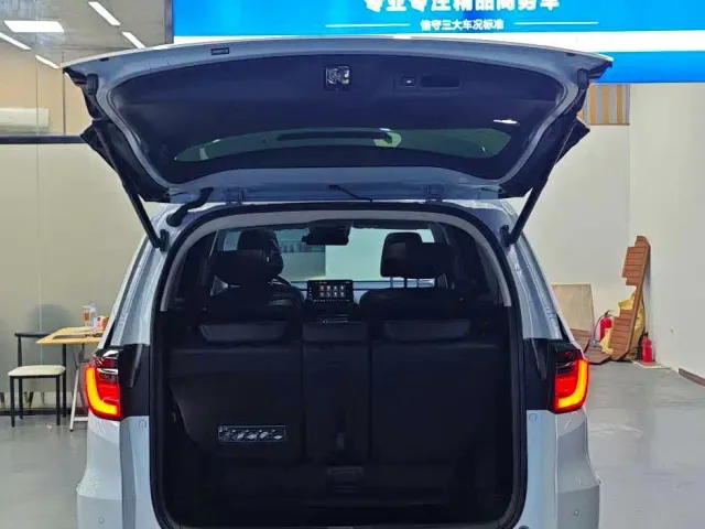 Honda Elysion — Фото автомобиля 18