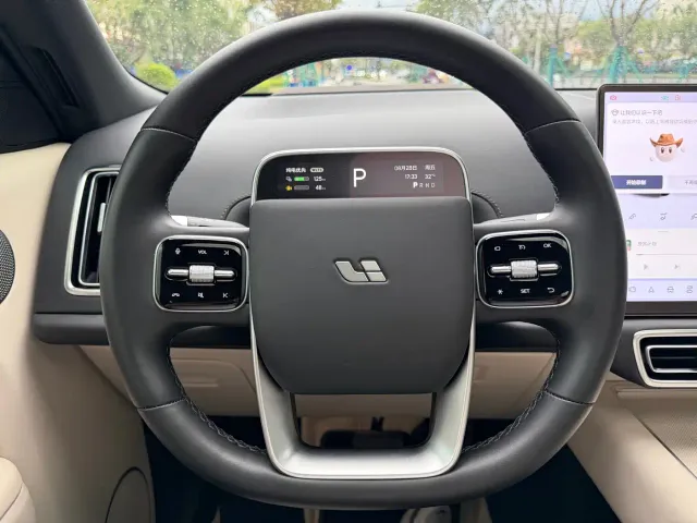 Li Auto L9 — Фото автомобиля 15