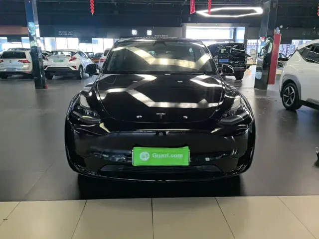 Tesla Model Y — Фото автомобиля 2