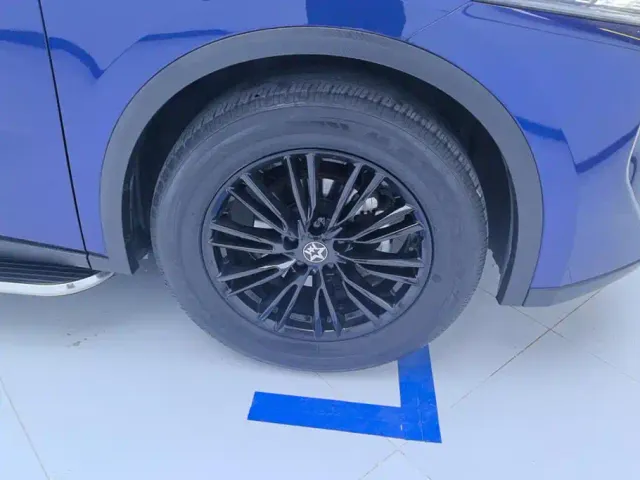 Venucia Venucia Big V 2021 260T Idol Edition — Фото автомобиля 6