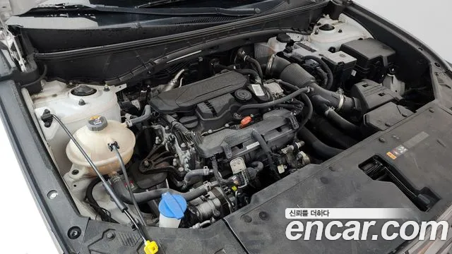 Hyundai Tucson Tucson (NX4) Бензин 1.6 турбо 2WD — Фото автомобиля 5
