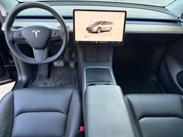 Tesla Model Y — Фото автомобиля 9