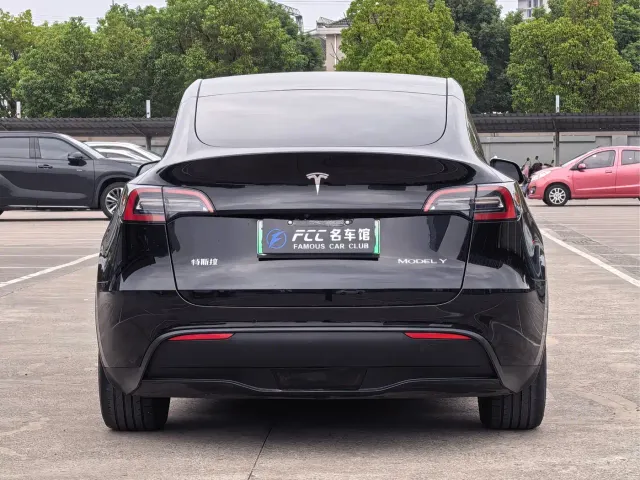 Tesla Model Y — Фото автомобиля 4
