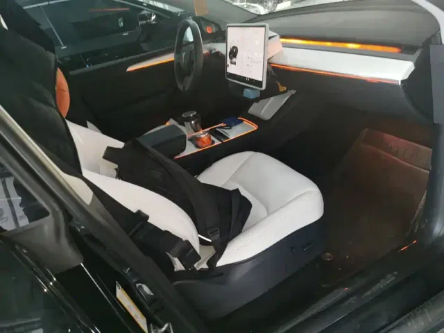 Tesla Model Y — Фото автомобиля 19