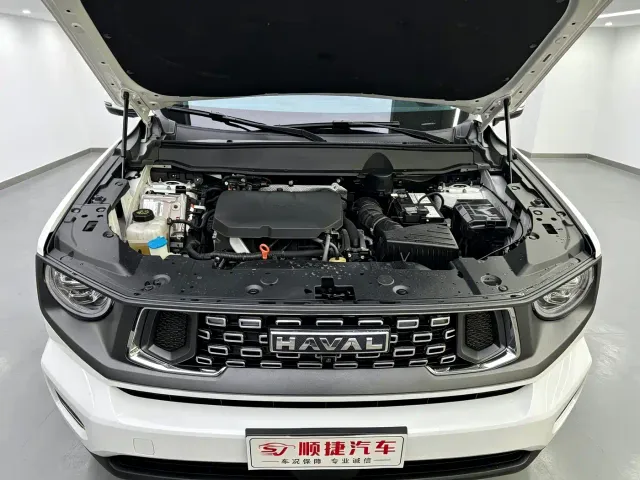 Haval Big Dog — Фото автомобиля 16